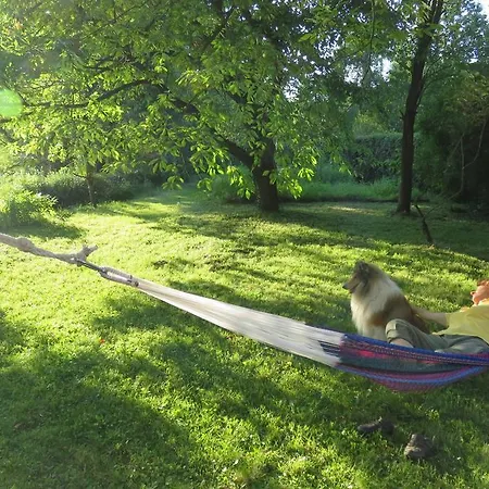 River Bank Pannonian & Garden Potony