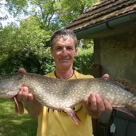 River Bank Pannonian & Garden Potony