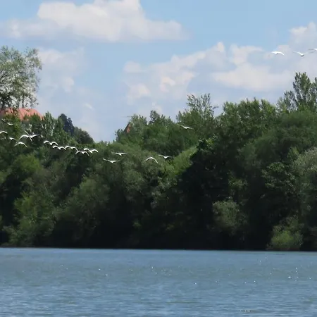 River Bank Pannonian & Garden Nyaraló Potony