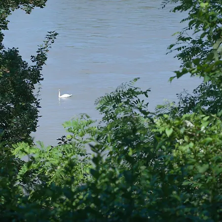 River Bank Pannonian & Garden Ptuj