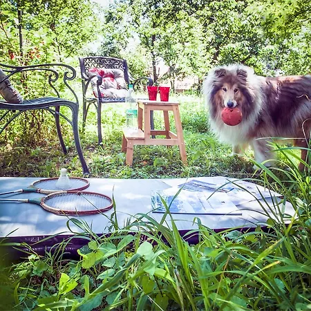 River Bank Pannonian & Garden Potony